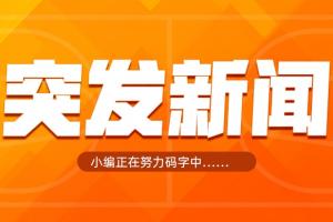 免费老鹰vs灰熊在线观看_免费老鹰vs灰熊在线观看在线观看_免费看直播