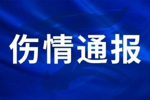 火爆U17女世界杯德国女篮U17vs西班牙U17女篮在线观看_火爆U17女世界杯德国女篮U17vs西班牙U17女篮在线观看在线观看_免费看直播