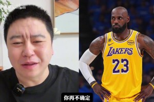 极速世界杯西班牙vs奥地利进球集锦